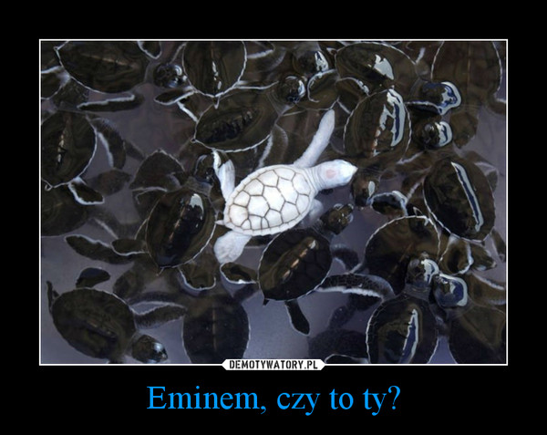Eminem, czy to ty? –  