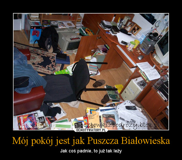 Mój pokój jest jak Puszcza Białowieska