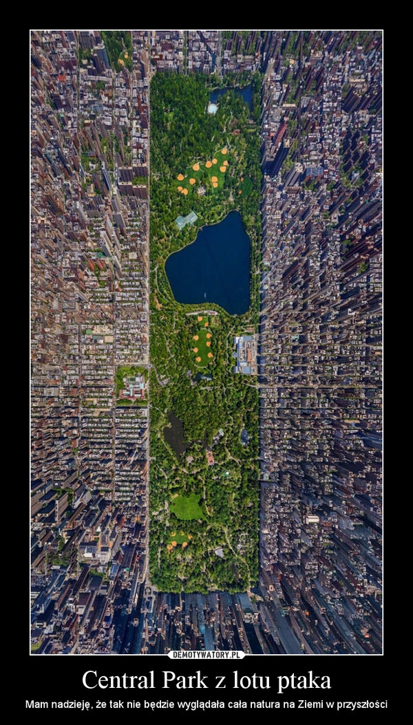 Central Park z lotu ptaka – Mam nadzieję, że tak nie będzie wyglądała cała natura na Ziemi w przyszłości 