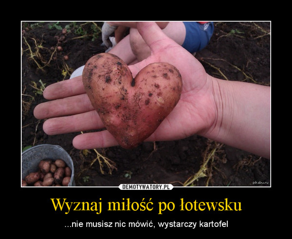 Wyznaj miłość po łotewsku – ...nie musisz nic mówić, wystarczy kartofel 