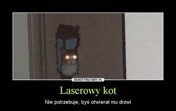 Laserowy kot – Nie potrzebuje, byś otwierał mu drzwi 