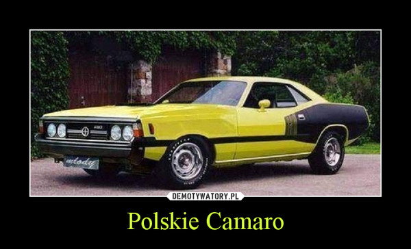 Polskie Camaro –  