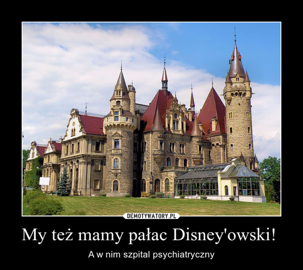 My też mamy pałac Disney'owski!  – A w nim szpital psychiatryczny 