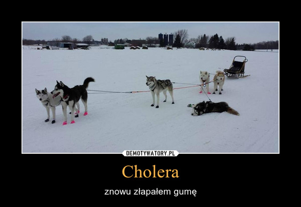 Cholera – znowu złapałem gumę 