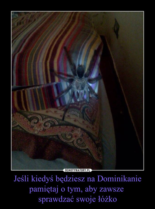 Jeśli kiedyś będziesz na Dominikanie pamiętaj o tym, aby zawsze 
sprawdzać swoje łóżko