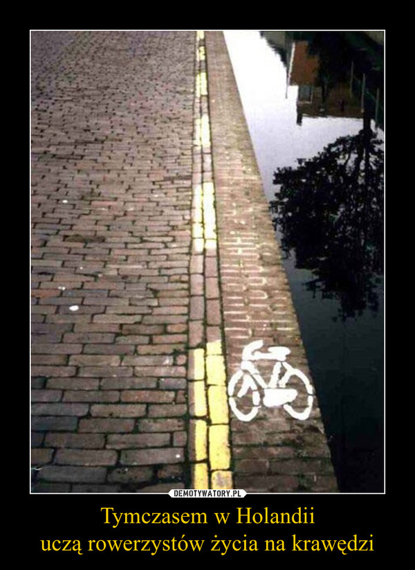 Tymczasem w Holandiiuczą rowerzystów życia na krawędzi –  