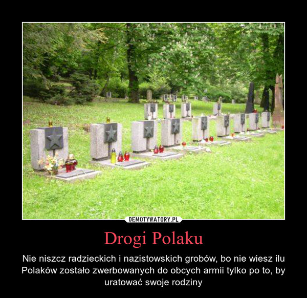 Drogi Polaku – Nie niszcz radzieckich i nazistowskich grobów, bo nie wiesz ilu Polaków zostało zwerbowanych do obcych armii tylko po to, by uratować swoje rodziny 
