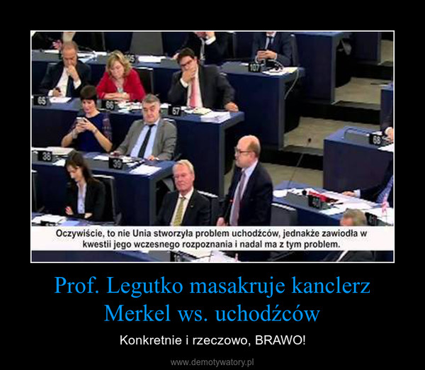 Prof. Legutko masakruje kanclerz Merkel ws. uchodźców – Konkretnie i rzeczowo, BRAWO! 