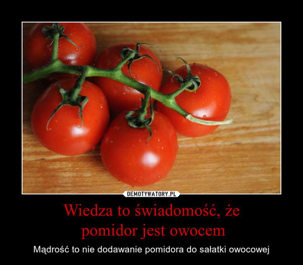 Wiedza to świadomość, że pomidor jest owocem – Mądrość to nie dodawanie pomidora do sałatki owocowej 