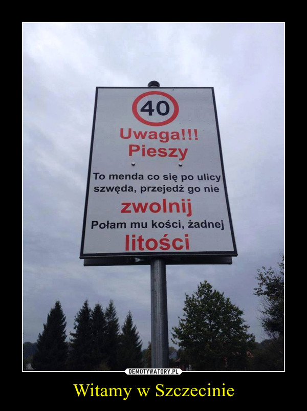 Witamy w Szczecinie