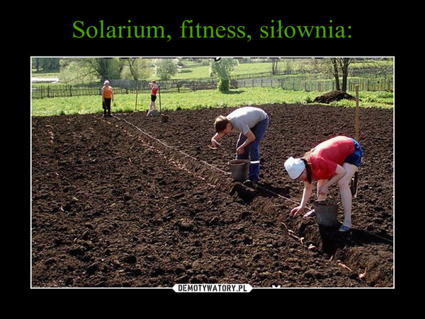 Solarium, fitness, siłownia:
