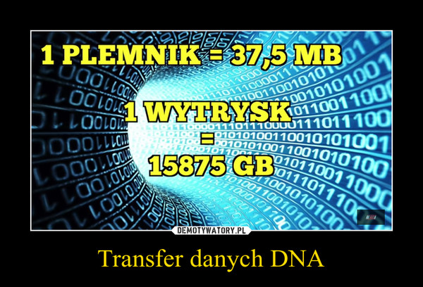 Transfer danych DNA –  1 PLEMNIK = 37,5 MB1 WYTRYSK = 15875 GB