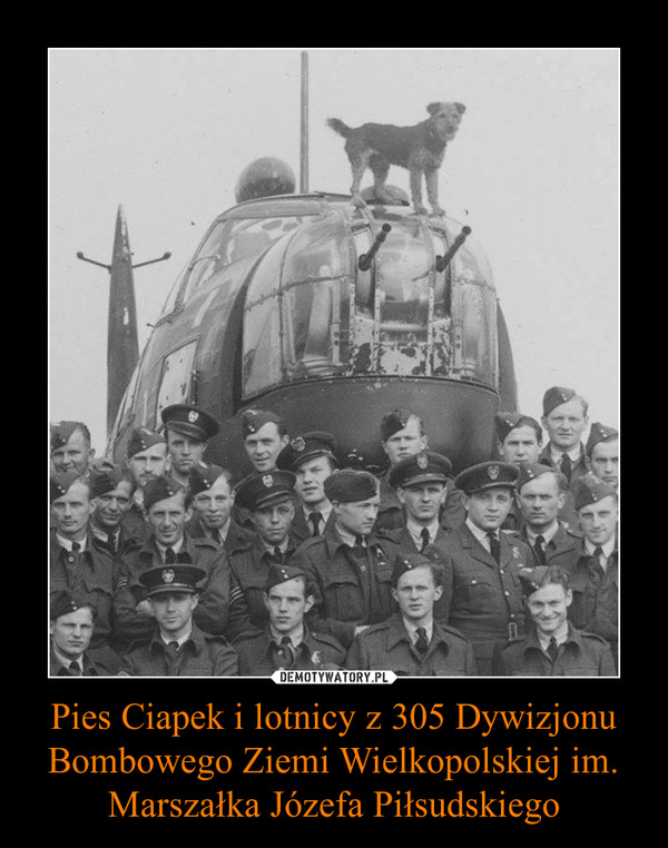 Pies Ciapek i lotnicy z 305 Dywizjonu Bombowego Ziemi Wielkopolskiej im. Marszałka Józefa Piłsudskiego