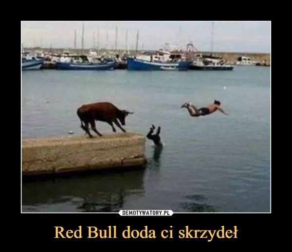 Red Bull doda ci skrzydeł –  