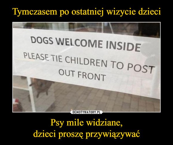 Tymczasem po ostatniej wizycie dzieci Psy mile widziane,
dzieci proszę przywiązywać