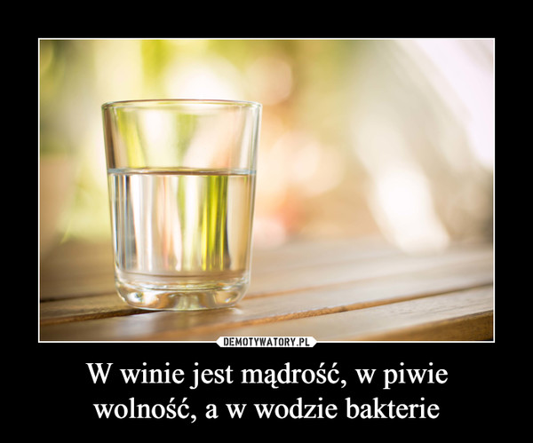 W winie jest mądrość, w piwiewolność, a w wodzie bakterie –  