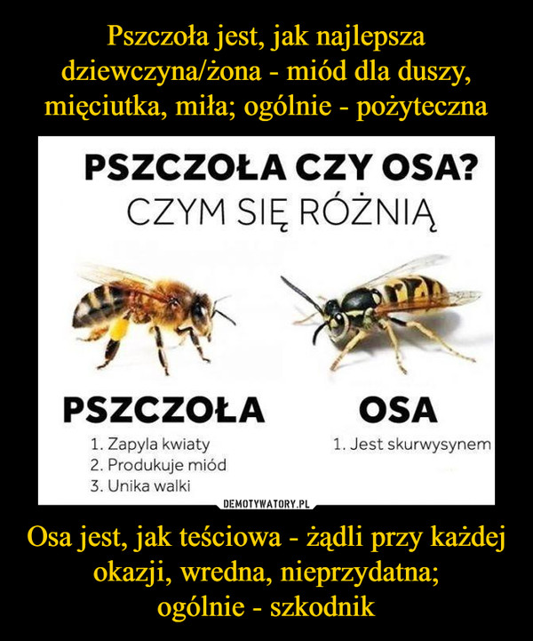 Osa jest, jak teściowa - żądli przy każdej okazji, wredna, nieprzydatna;ogólnie - szkodnik –  