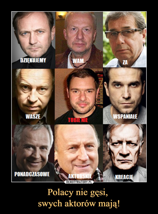 Polacy nie gęsi, swych aktorów mają! –  DZIĘKUJEMY WAM ZA WASZE TOBIE NIE WSPANIAŁE PONADCZASOWE AKTORSKIE KREACJE