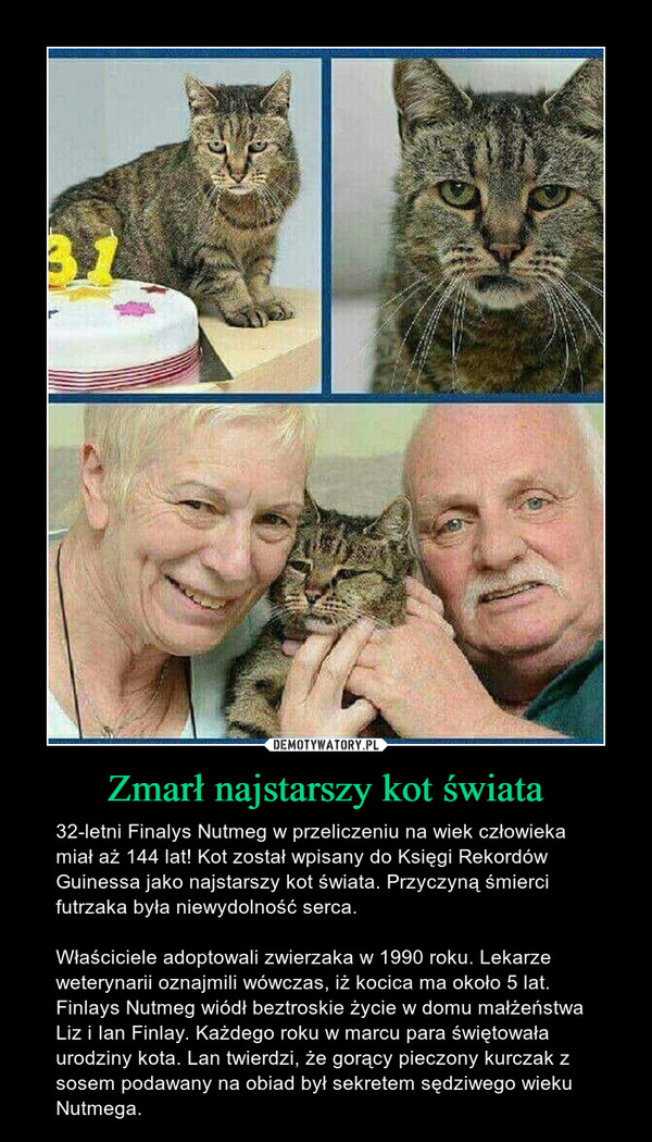 Zmarł najstarszy kot świata