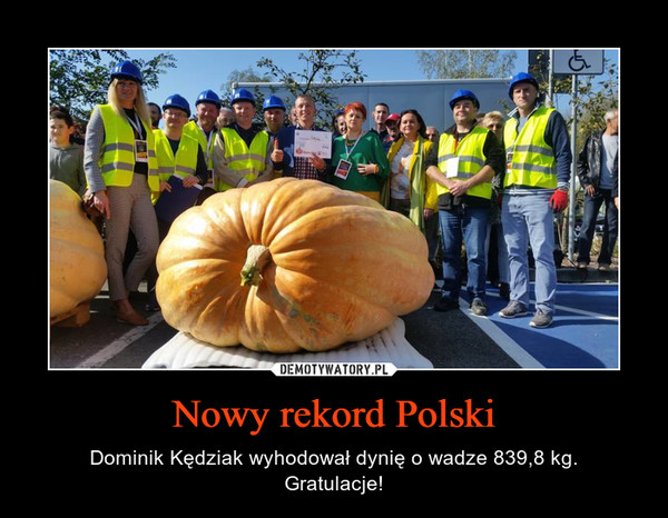 Nowy rekord Polski – Dominik Kędziak wyhodował dynię o wadze 839,8 kg.Gratulacje! 