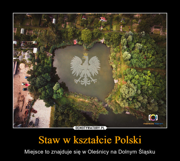 Staw w kształcie Polski