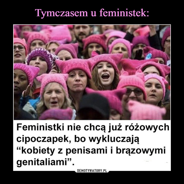  –  Feministki nie chcą już różowych cipoczapek, bo wykluczają "kobiety z penisami i brązowymi genitaliami". 
