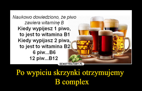 Po wypiciu skrzynki otrzymujemy  B complex –  Naukowo dowiedziono. że piwo zawiera witaminę B Kiedy wypijesz 1 piwo, r_ to jest to witamina B1 g Kiedy wypijasz 2 piwa, ), to jest to witamina B2 \ B6_ 6 piw...B6 12 piw...B12 