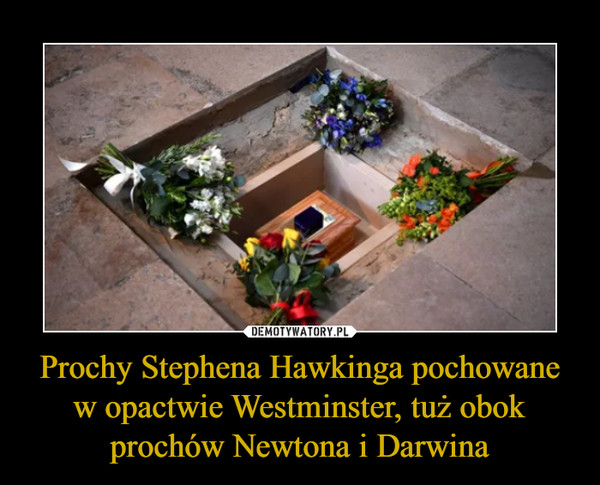 Prochy Stephena Hawkinga pochowane w opactwie Westminster, tuż obok prochów Newtona i Darwina