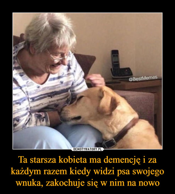 Ta starsza kobieta ma demencję i za każdym razem kiedy widzi psa swojego wnuka, zakochuje się w nim na nowo –  