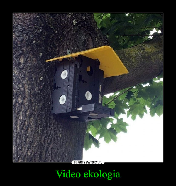 Video ekologia –  