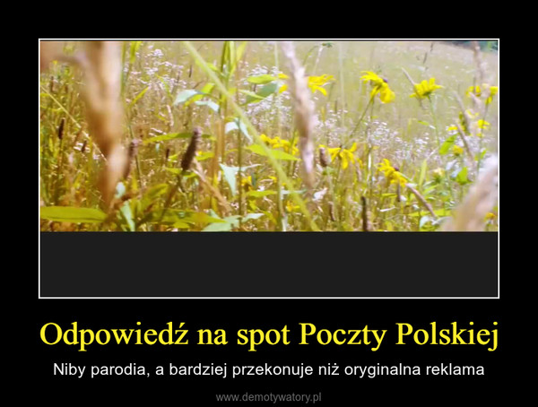Odpowiedź na spot Poczty Polskiej – Niby parodia, a bardziej przekonuje niż oryginalna reklama 