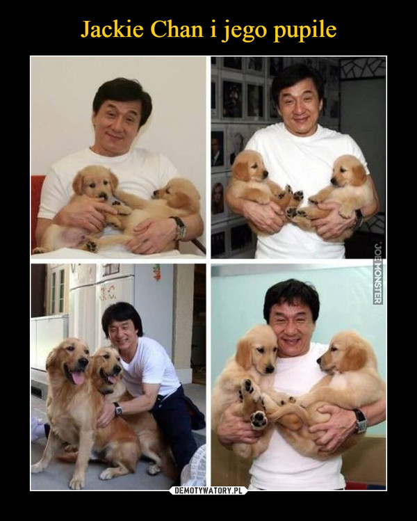 Jackie Chan i jego pupile