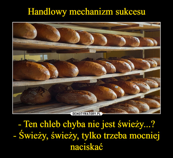 Handlowy mechanizm sukcesu - Ten chleb chyba nie jest świeży...?
- Świeży, świeży, tylko trzeba mocniej naciskać