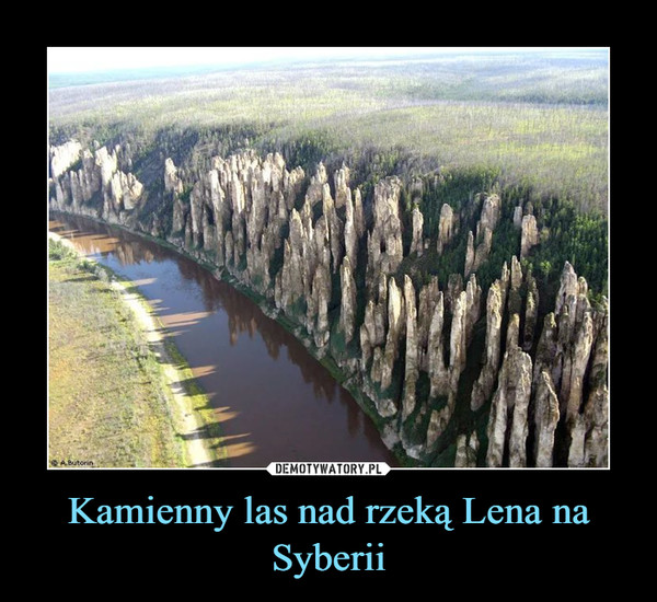 Kamienny las nad rzeką Lena na Syberii