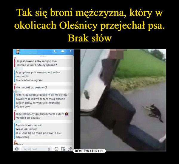 Tak się broni mężczyzna, który w okolicach Oleśnicy przejechał psa. Brak słów