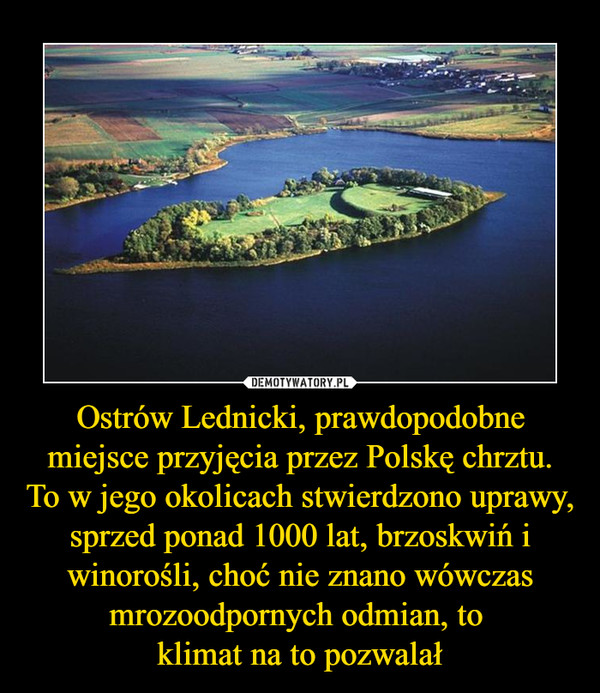 Ostrów Lednicki, prawdopodobne miejsce przyjęcia przez Polskę chrztu.
To w jego okolicach stwierdzono uprawy, sprzed ponad 1000 lat, brzoskwiń i winorośli, choć nie znano wówczas mrozoodpornych odmian, to 
klimat na to pozwalał