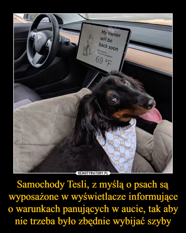 Samochody Tesli, z myślą o psach są wyposażone w wyświetlacze informujące o warunkach panujących w aucie, tak aby nie trzeba było zbędnie wybijać szyby –  