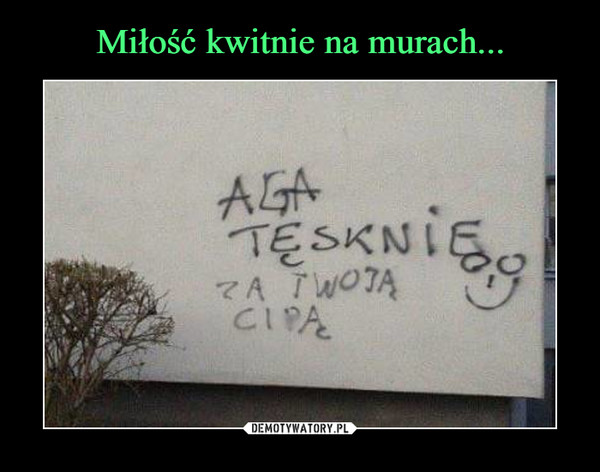  –  Aga tęsknię za twoją