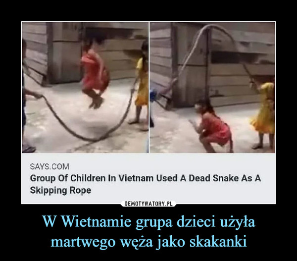 W Wietnamie grupa dzieci użyła martwego węża jako skakanki –  