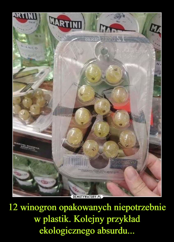 12 winogron opakowanych niepotrzebnie w plastik. Kolejny przykład ekologicznego absurdu...