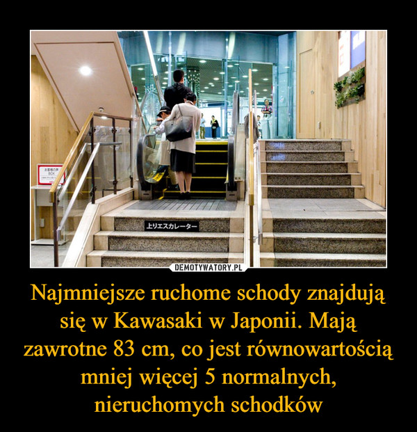 Najmniejsze ruchome schody znajdują się w Kawasaki w Japonii. Mają zawrotne 83 cm, co jest równowartością mniej więcej 5 normalnych, nieruchomych schodków –  