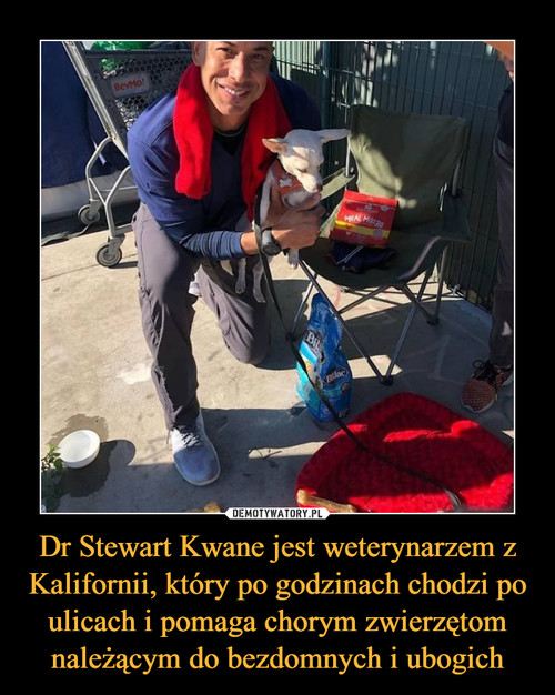 Dr Stewart Kwane jest weterynarzem z Kalifornii, który po godzinach chodzi po ulicach i pomaga chorym zwierzętom należącym do bezdomnych i ubogich