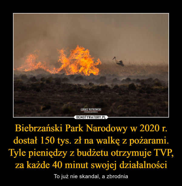 Biebrzański Park Narodowy w 2020 r. dostał 150 tys. zł na walkę z pożarami. Tyle pieniędzy z budżetu otrzymuje TVP, za każde 40 minut swojej działalności