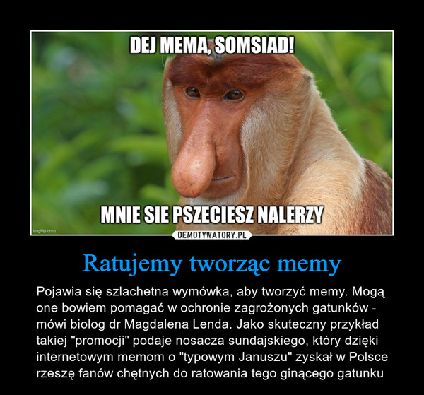 Ratujemy tworząc memy – Pojawia się szlachetna wymówka, aby tworzyć memy. Mogą one bowiem pomagać w ochronie zagrożonych gatunków - mówi biolog dr Magdalena Lenda. Jako skuteczny przykład takiej "promocji" podaje nosacza sundajskiego, który dzięki internetowym memom o "typowym Januszu" zyskał w Polsce rzeszę fanów chętnych do ratowania tego ginącego gatunku DEJ MEMA, SOMSIADMNIE SIE PRZECIESZ NALERZY