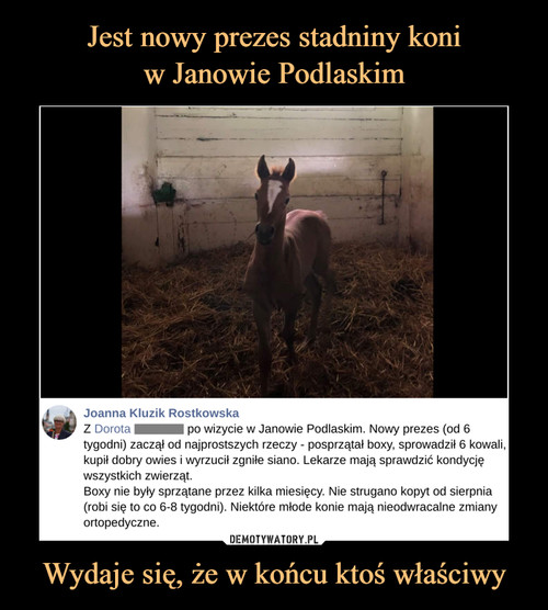 Jest nowy prezes stadniny koni
w Janowie Podlaskim Wydaje się, że w końcu ktoś właściwy