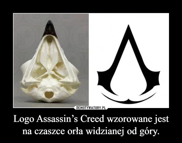 Logo Assassin’s Creed wzorowane jest na czaszce orła widzianej od góry. –  