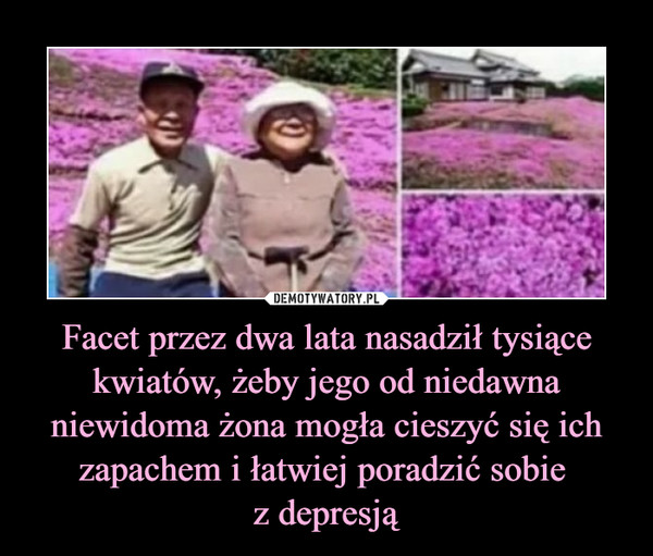 Facet przez dwa lata nasadził tysiące kwiatów, żeby jego od niedawna niewidoma żona mogła cieszyć się ich zapachem i łatwiej poradzić sobie z depresją –  
