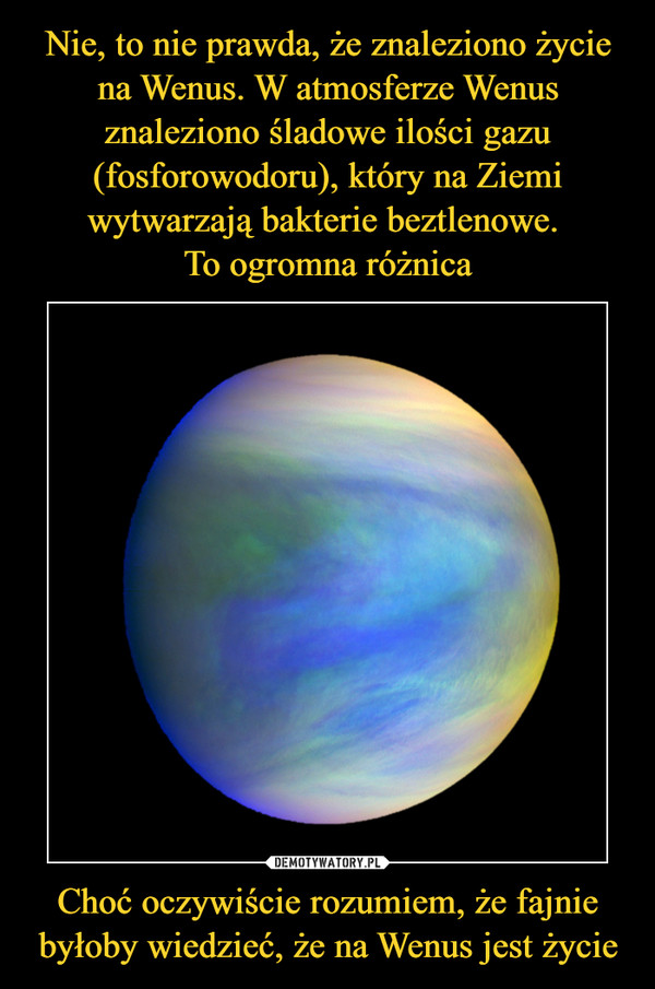 Nie, to nie prawda, że znaleziono życie na Wenus. W atmosferze Wenus znaleziono śladowe ilości gazu (fosforowodoru), który na Ziemi wytwarzają bakterie beztlenowe. 
To ogromna różnica Choć oczywiście rozumiem, że fajnie byłoby wiedzieć, że na Wenus jest życie