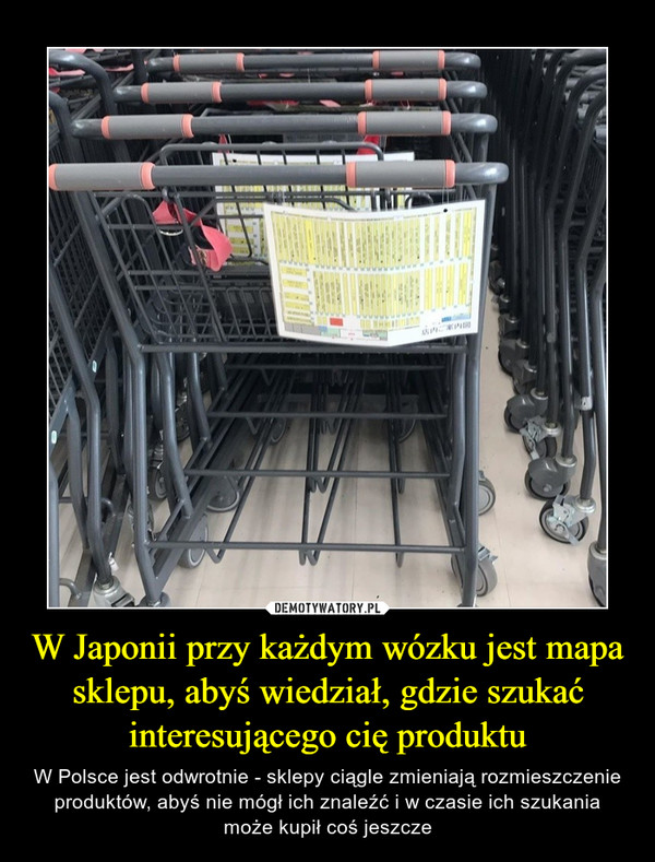W Japonii przy każdym wózku jest mapa sklepu, abyś wiedział, gdzie szukać interesującego cię produktu – W Polsce jest odwrotnie - sklepy ciągle zmieniają rozmieszczenie produktów, abyś nie mógł ich znaleźć i w czasie ich szukania może kupił coś jeszcze 