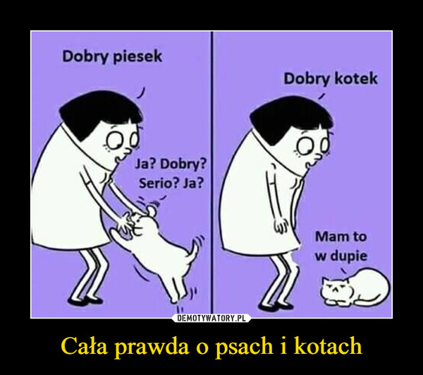 Cała prawda o psach i kotach –  